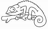 Coloring Pages Chameleon Printable Colorear Para sketch template