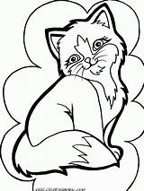Coloring Cat Pages Cute Print sketch template