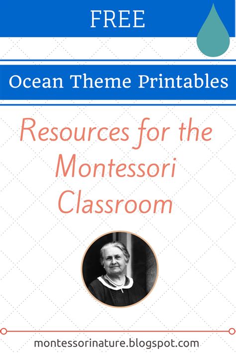 ocean theme printables resources   montessori classroom