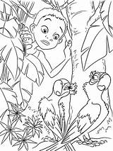 Rio Coloring Pages sketch template