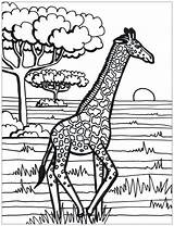 Coloring Giraffe Giraffes Pages Print Printable Kids Color Thick Lines Adult Children Adults Baby Nature Animals Sheet Justcolor Mother His sketch template