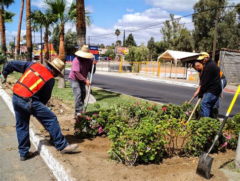 Arrasando La Noticia Trabaja Gobierno Municipal En Obras Para La Ciudad
