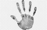 Finger Print Fingerprint Palm Hand Monochrome Dlan Left Illustration Pngegg Clipart sketch template