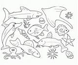 Sea Coloring Life Pages Comments Colouring sketch template