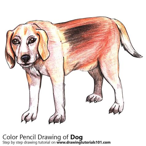 dog drawing simple color bmp tomfoolery