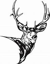 Deer Head Drawing Clipart Tribal Line Mule Silhouette Clip Stag Elk Drawings Cliparts Outline Hirsch Antlers Clipartmag Designs Google Getdrawings sketch template