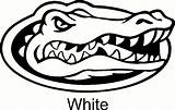 Gators Florida Logo Drawing Gator Silhouette Car Vector Coloring Decal Pages Template Drawings Vinyl Sticker Getdrawings Paintingvalley Sketch sketch template