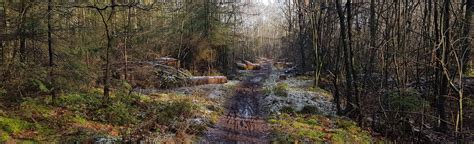 ulvenhoutse bos blauwe wandelroute north brabant netherlands  reviews map alltrails