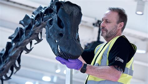 dippy boosts great north museum hancock visitor numbers  decade high