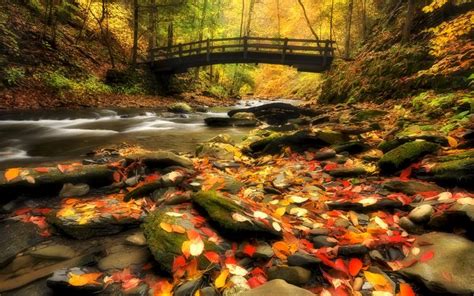 Bridges In Autumn Windows 10 Theme Free Wallpaper Themes