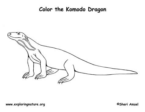 komodo dragon coloring page