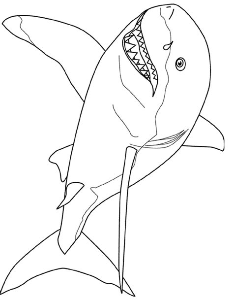 shark coloring pages kidsuki