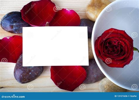 rose petal spa stock photo image  beautiful copy