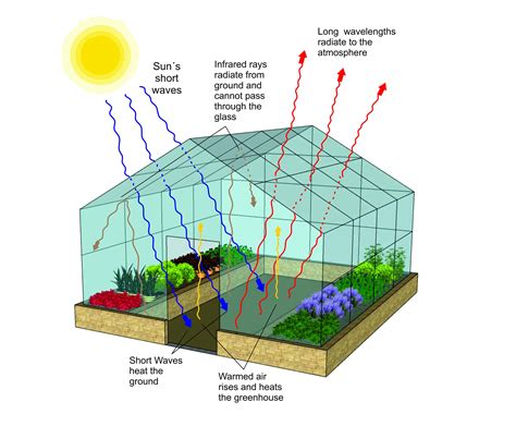 greenhouse work