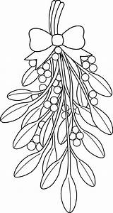 Mistletoe Colouring sketch template