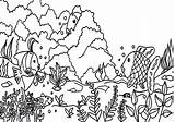 Coloring Reef Barrier Corail Coloriages Ecology Getdrawings sketch template