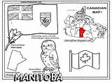 Coloring Pages Printable Manitoba Drawing Canadian Kids Flower Color Habitat Tiny Forest Wildlife East Animals Natural Canada City sketch template