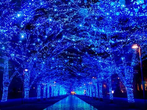 winter illuminations  japan  season jrailpass