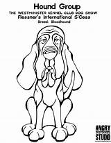 Coloring Pages Dog Bloodhound Coon Show Westminster Club Getcolorings Hound Kennel Group sketch template