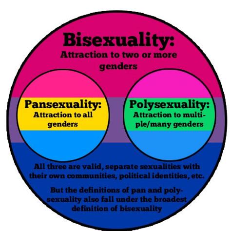 Pansexual Meanings The Digital Closet 2014 Slideshare Aug 20