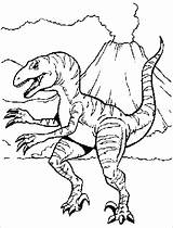 Raptor Jurassic Coloringbay sketch template