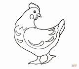 Coloring Hen Pages Drawing Printable sketch template
