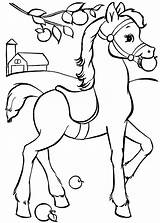 Cavalos Cavalo sketch template