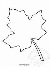 Leaf Template Autumn Drawing Maple Printable Leaves Fall Templates Coloring Write Tree Names Pattern Pages Coloringpage Eu Outline Draw Patterns sketch template