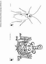 Insects Coloring sketch template