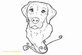 Lab Labrador Coloring Pages Drawing Dog Retriever Puppy Chocolate Golden Line Yellow Clipart Printable Drawings Puppies Colouring Color Realistic Sketch sketch template