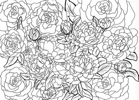 peonies printable coloring page  thesnowhorse  etsy