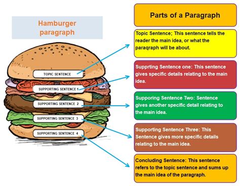 hamburger paragraph template