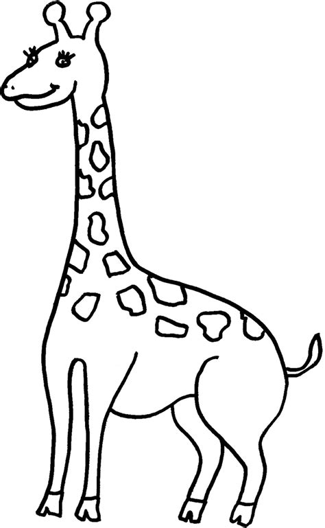 template   giraffe giraffe template clipart