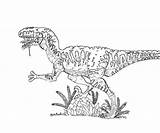 Jurassic Coloring Raptor Velociraptor Getcolorings Dinosaur sketch template