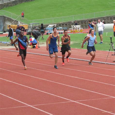 results  auckland athletics champs