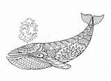 Mandala Whale Zentangle sketch template