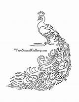 Peacock Stencil Printable Stencils Patterns Quilling Template Designs Drawing Own Thousands Ready Make Use Glass Outline Dremel Templates Freestencilgallery Etching sketch template