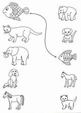 Matching Worksheets Preschool Animal Kids Easy Worksheet Animals Printables Printable Comment First sketch template
