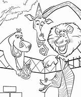 Coloring Pages Madagascar Printable Cartoon sketch template