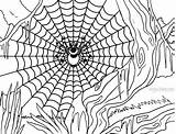 Spinnennetz Funnel Spiders Getdrawings Ausdrucken Cool2bkids sketch template