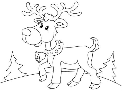 reindeer coloring page coloring pages