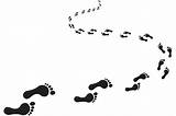 Huellas Footprints Curved Retrace Footprint Curvo Formulario Vecteezy Chemin Empreintes Connections Certificado Courbe Hacer sketch template