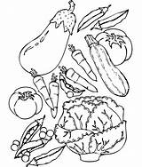 Coloring Pages Nutrition Vegetables Fruits Fruit sketch template