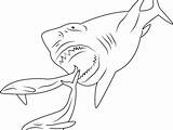 Megalodon Coloring Shark Pages Printable Print Drawing Sharks Book Scary Getdrawings Color Getcolorings Divyajanani sketch template