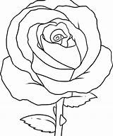 Coloring Pages Roses Rose Banners Beautiful sketch template