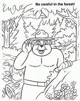 Bear Smokey Coloring Pages Forest Printable Fire Colouring Prevention Thursday Birthday Kids Color Bandit Wildfire Sheets Popular Coloringhome Bears Getcolorings sketch template