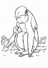 Monkey Coloring Baby Pages Parentune Worksheets sketch template