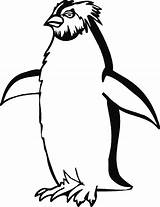 Pinguini Pinguinos Pinguine Colorat Tipareste Planse Drucken sketch template