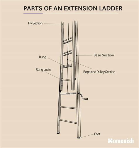 parts   ladder  diagrams  step ladder extension ladder homenish
