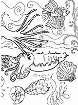 Dover Publications Colouring Coquillages Océan Appel Pintere Azcoloring Mitsouko Eklablog sketch template